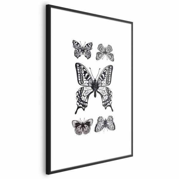Plakat Pięć motyli 21x30 cm 582701