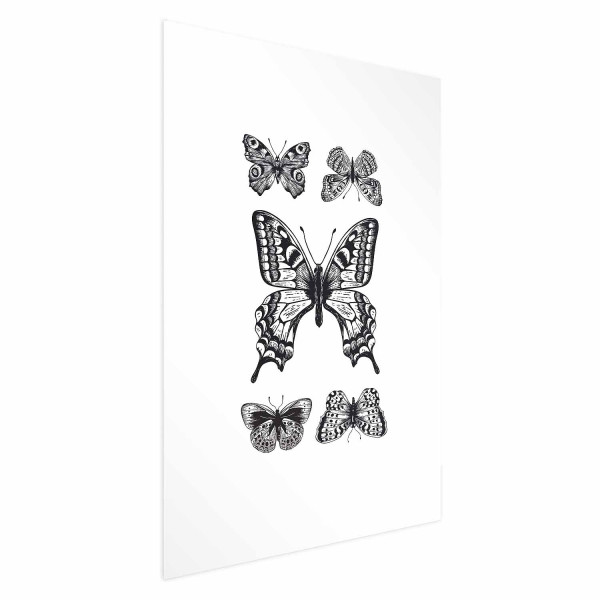 Plakat Pięć motyli 29,7x42 cm 577433