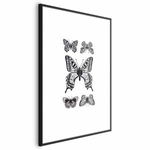 Plakat Pięć motyli 29,7×42 cm 577355 Plakat Pięć motyli 29,7×42 cm 577355