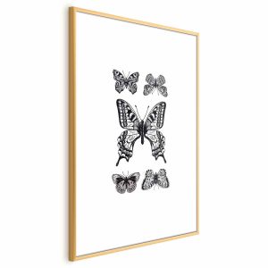 Plakat Pięć motyli 40×60 cm 589139 Plakat Pięć motyli 40×60 cm 589139