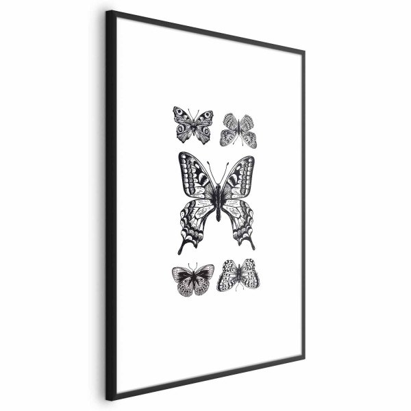 Plakat Pięć motyli 40x60 cm 577734