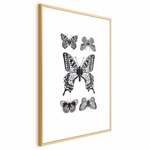 Plakat Pięć motyli 60×90 cm 583062 Plakat Pięć motyli 60×90 cm 583062