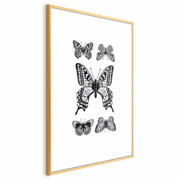 Plakat Pięć motyli 60x90 cm 583062