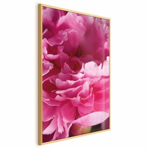 Plakat Piękne piwonie 21×30 cm 584252 Plakat Piękne piwonie 21×30 cm 584252