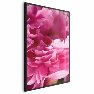 Plakat Piękne piwonie 21×30 cm 590538 Plakat Piękne piwonie 21×30 cm 590538