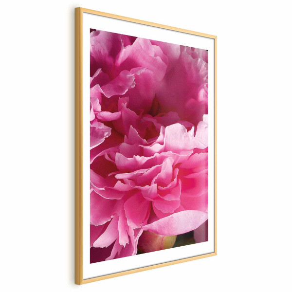Plakat Piękne piwonie 29,7x42 cm 582140