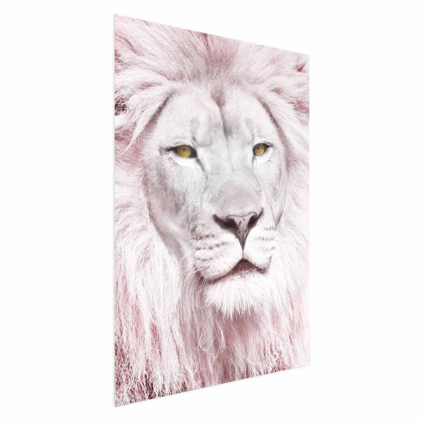 Plakat Piękno w sile 40x60 cm 587658