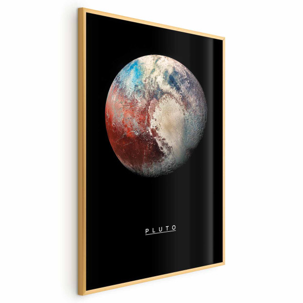 Plakat Pluton 60x90 cm 590425