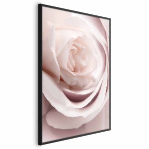 Plakat Porcelanowa róża 21×30 cm 591476 Plakat Porcelanowa róża 21×30 cm 591476