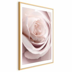 Plakat Porcelanowa róża 29,7×42 cm 578884 Plakat Porcelanowa róża 29,7×42 cm 578884