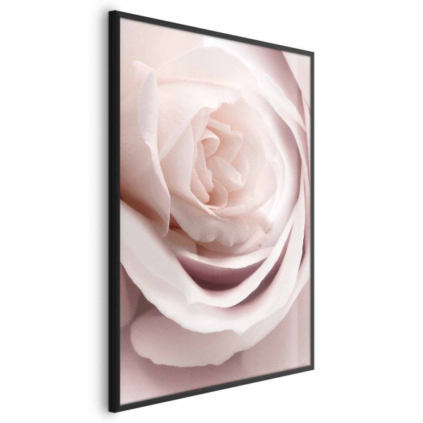 Plakat Porcelanowa róża 29,7x42 cm 580268
