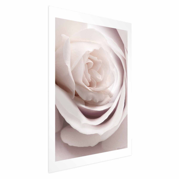 Plakat Porcelanowa róża 29,7x42 cm 585863