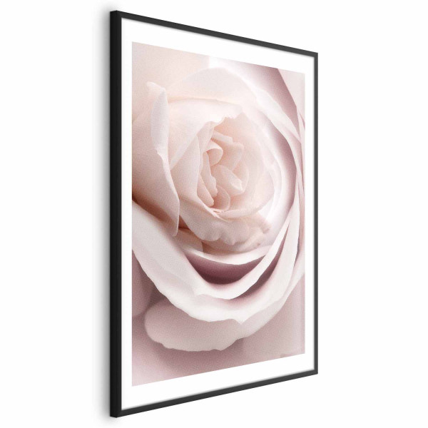 Plakat Porcelanowa róża 29,7x42 cm 587316