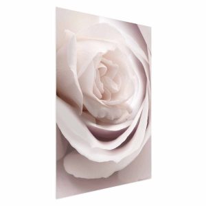 Plakat Porcelanowa róża 40×60 cm 578852 Plakat Porcelanowa róża 40×60 cm 578852