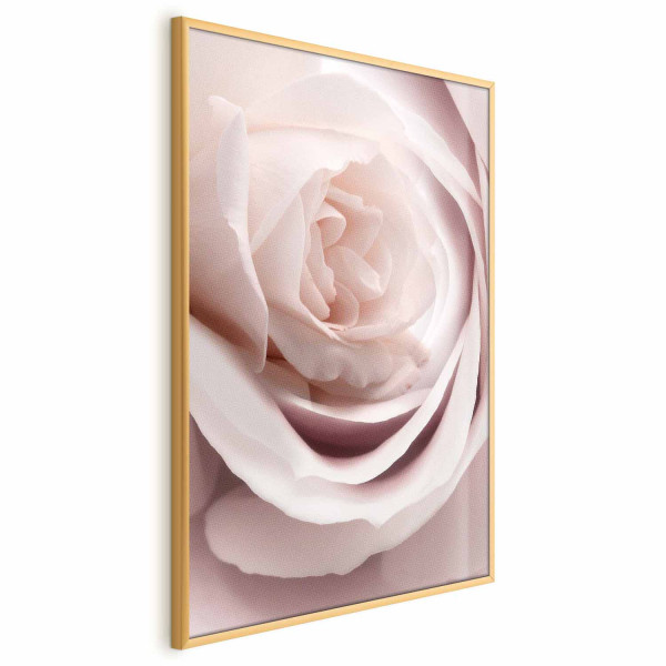 Plakat Porcelanowa róża 40x60 cm 581394