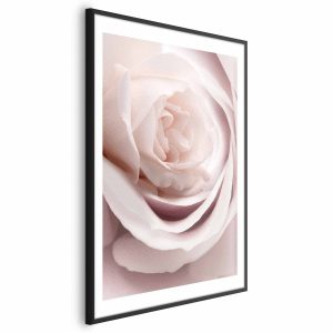 Plakat Porcelanowa róża 40×60 cm 585783 Plakat Porcelanowa róża 40×60 cm 585783