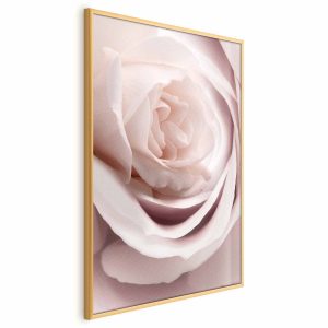 Plakat Porcelanowa róża 60×90 cm 588746 Plakat Porcelanowa róża 60×90 cm 588746