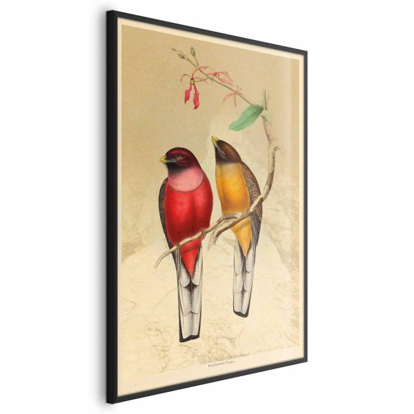 Plakat Ptaki na gałązce 40x60 cm 585549