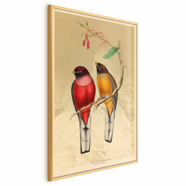 Plakat Ptaki na gałązce 40x60 cm 587845