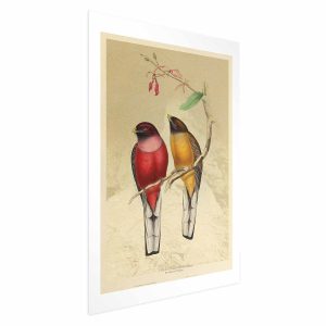 Plakat Ptaki na gałązce 40×60 cm 588508 Plakat Ptaki na gałązce 40×60 cm 588508