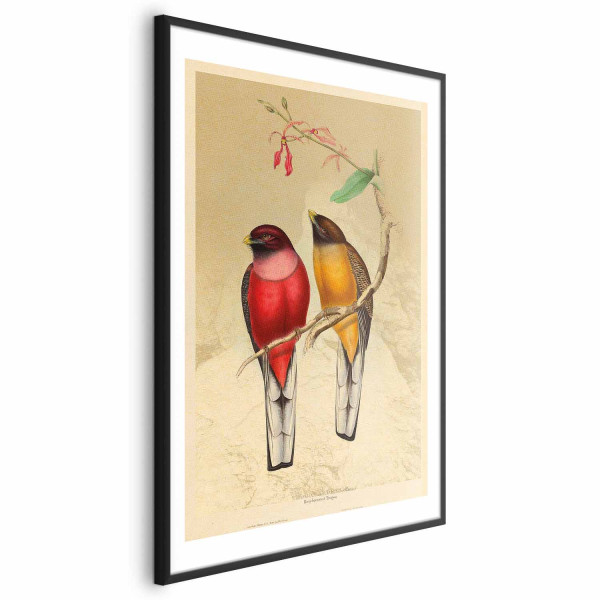 Plakat Ptaki na gałązce 60x90 cm 581418
