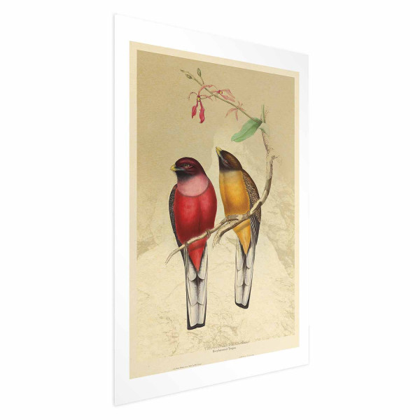 Plakat Ptaki na gałązce 60x90 cm 590843