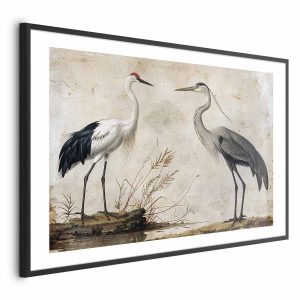 Plakat Ptaki z ryciny 60×40 cm 586875 Plakat Ptaki z ryciny 60×40 cm 586875