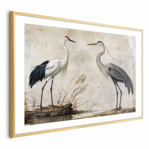 Plakat Ptaki z ryciny 60×40 cm 588267 Plakat Ptaki z ryciny 60×40 cm 588267