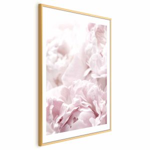 Plakat Puszyste peonie 21×30 cm 588660 Plakat Puszyste peonie 21×30 cm 588660