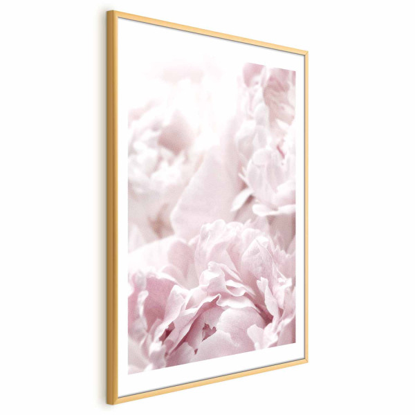 Plakat Puszyste peonie 21x30 cm 588660