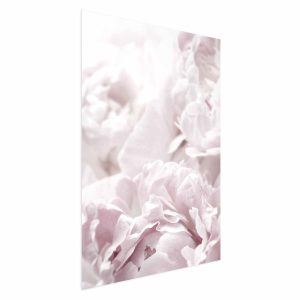 Plakat Puszyste peonie 21×30 cm 588681 Plakat Puszyste peonie 21×30 cm 588681