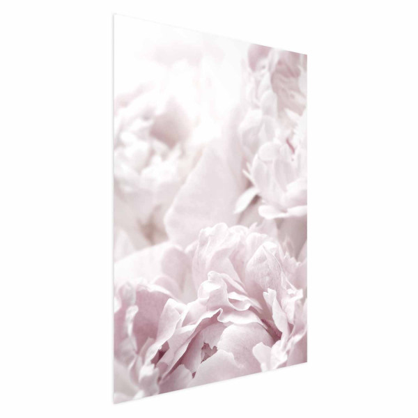 Plakat Puszyste peonie 21x30 cm 588681