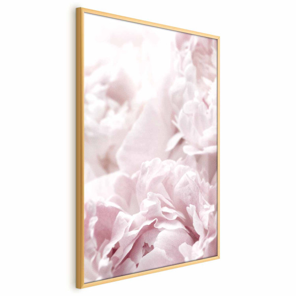 Plakat Puszyste peonie 21x30 cm 588732