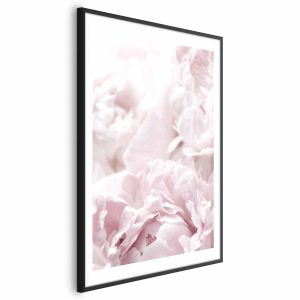 Plakat Puszyste peonie 21×30 cm 581978 Plakat Puszyste peonie 21×30 cm 581978