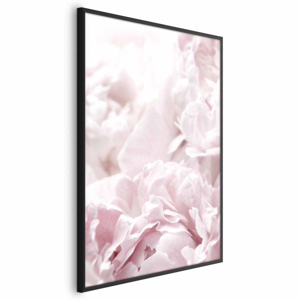 Plakat Puszyste peonie 21x30 cm 589455