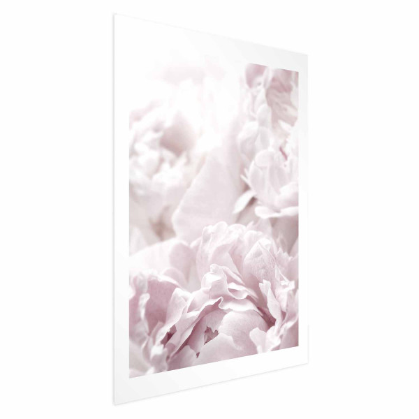 Plakat Puszyste peonie 21x30 cm 589669