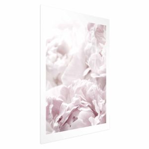 Plakat Puszyste peonie 29,7×42 cm 581045 Plakat Puszyste peonie 29,7×42 cm 581045