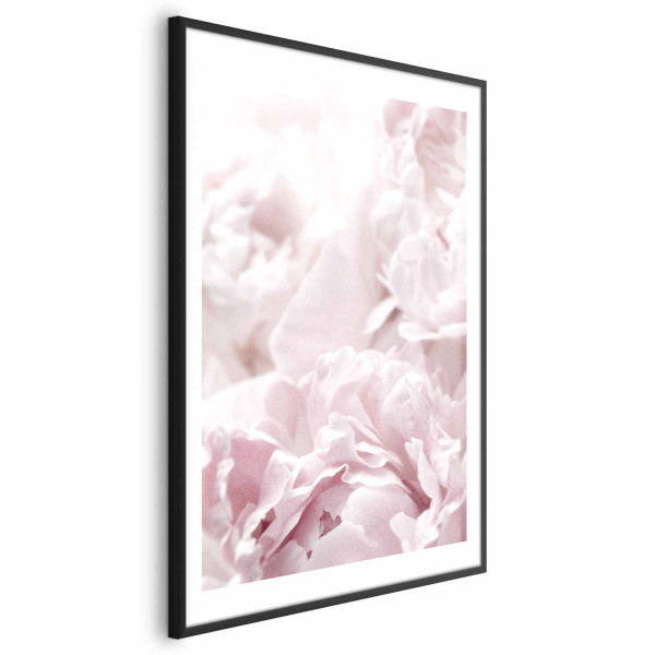 Plakat Puszyste peonie 60x90 cm 588200