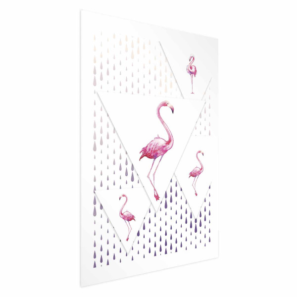 Plakat Rodzina flamingów 40x60 cm 589499