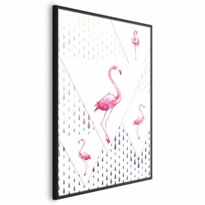 Plakat Rodzina flamingów 60×90 cm 582960 Plakat Rodzina flamingów 60×90 cm 582960