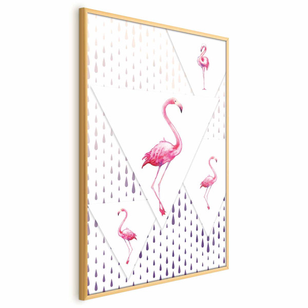 Plakat Rodzina flamingów 60x90 cm 585757
