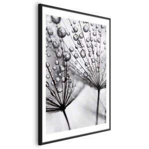 Plakat Rosa 21×30 cm 579581