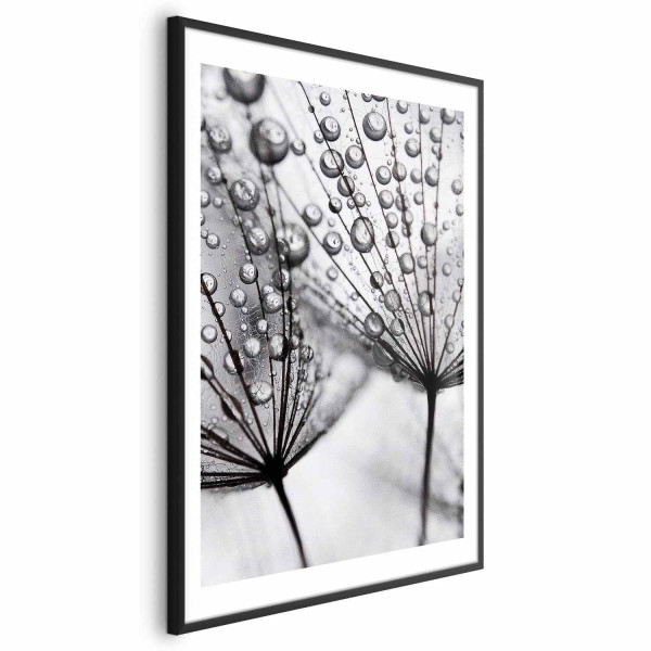 Plakat Rosa 21x30 cm 579581