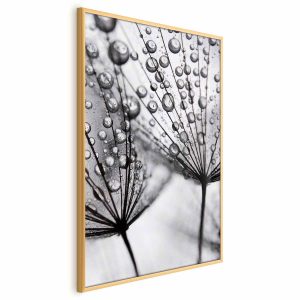 Plakat Rosa 21×30 cm 581014 Plakat Rosa 21×30 cm 581014