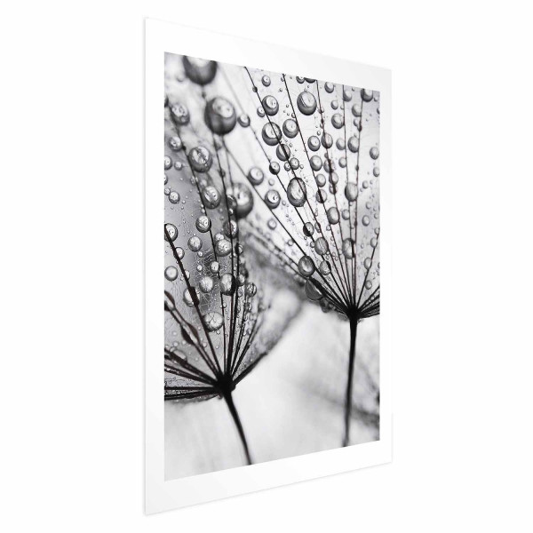 Plakat Rosa 29,7x42 cm 578172