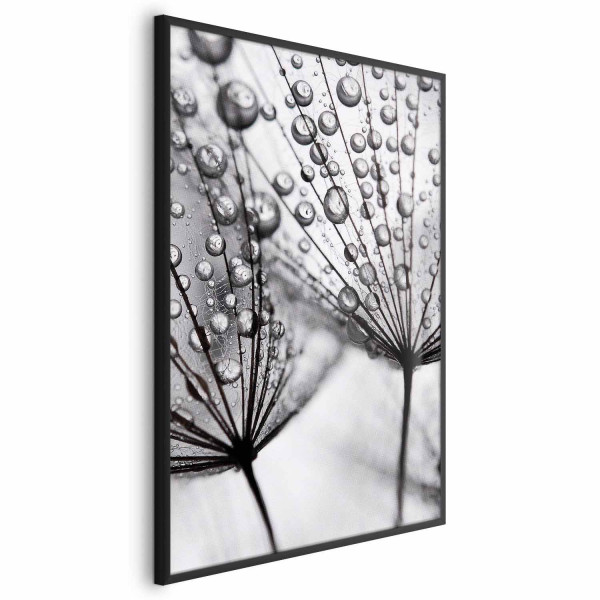 Plakat Rosa 40x60 cm 580267