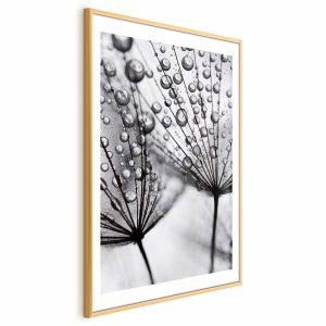 Plakat Rosa 40×60 cm 581762 Plakat Rosa 40×60 cm 581762