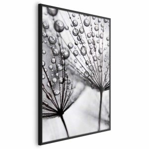 Plakat Rosa 60×90 cm 580241 Plakat Rosa 60×90 cm 580241
