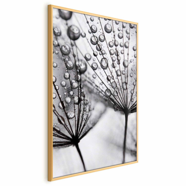 Plakat Rosa 60x90 cm 585117