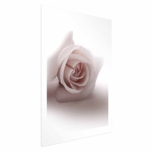 Plakat Różany cień 21×30 cm 578975